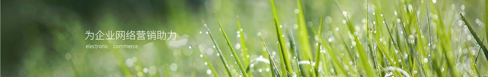 ںԴ̩Ƽչ޹˾